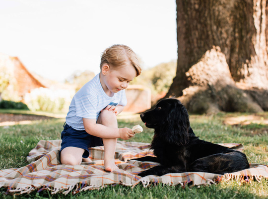 Prinţul George la 4 ani Foto: royal.uk