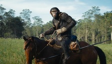 Box office nord-american - "Kingdom of the Planet of the Apes" a debutat pe primul loc cu încasări 56 de milioane de dolari - VIDEO