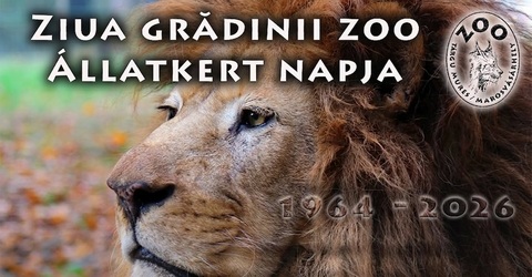 Publicul va putea să hrănească cerbii lopătari, tigrii şi liliecii de la Grădina Zoologică din Târgu Mureş/ Intrare liberă şi program nocturn