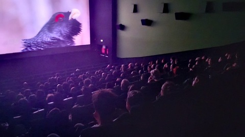 Alpin Film Festival - Alpinistul Horia Colibăşanu va vorbi despre ascensiunea pe Nanga Parbat, la Centrul Cultural Reduta