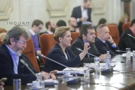 Liliana Ţuroiu şi Mirel Taloş au primit avizul favorabil al Comisiilor de cultură şi politică externă din Senat pentru conducerea ICR