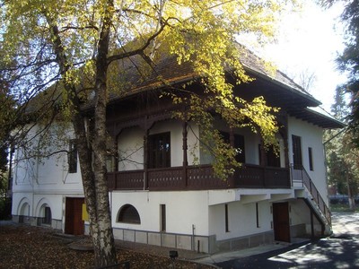 Casa Gănescu din Târgu Jiu va găzdui Muzeul Naţional ”Constantin Brâncuşi”