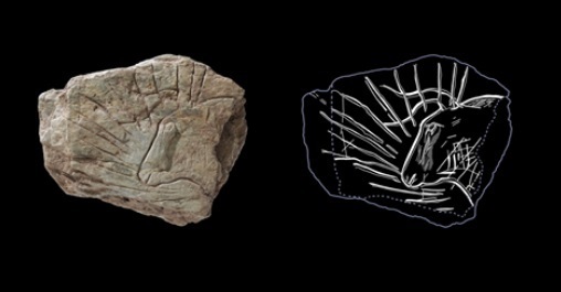 Gravuri vechi de peste 14.000 de ani au fost descoperite în Franţa