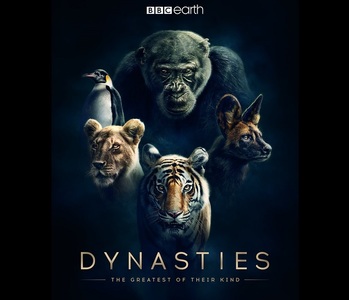 BBC Earth a lansat un preview al documentarului „Dynasties” narat de David Attenborough - VIDEO