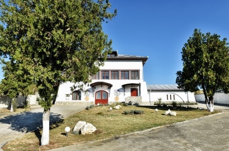 Un conac şi o podgorie din Valea Călugărească sunt scoase la vânzare de Artmark Historical Estate de la 465.000 de euro - FOTO
