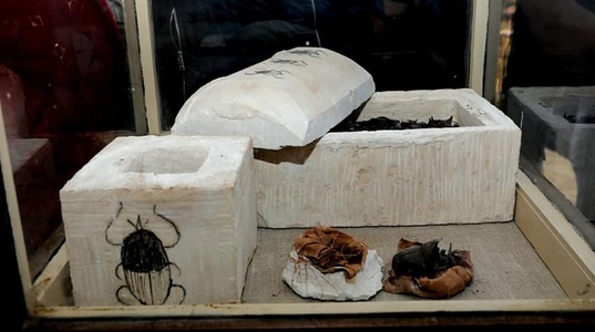Egipt: Şapte morminte cu scarabei şi pisici mumificate din timpul faraonilor, descoperite în apropiere de Cairo
