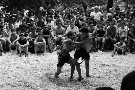 Chidaoba, un stil de lupte tradiţional georgian practicat de secole, a fost inclus de UNESCO în patrimoniul cultural imaterial al umanităţii