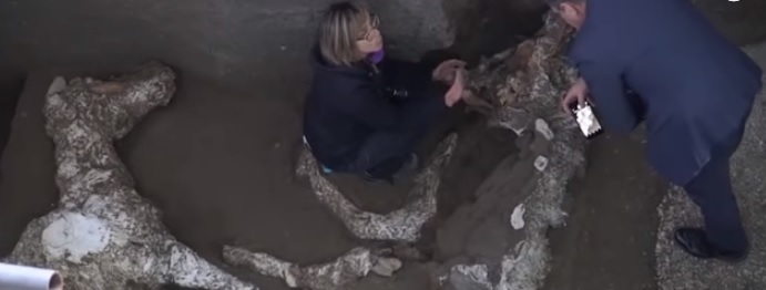 Rămăşiţele aproape intacte ale unui cal pur-sânge, alături de harnaşament, au fost descoperite la Pompei