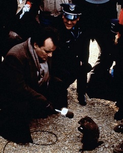 Pro Cinema difuzează filmul "Ziua cârtiţei", cu Bill Murray în rol principal, pe parcursul întregii zile 