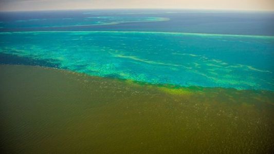 Australia - Apa murdară din viituri a ajuns la Marea Barieră de Corali