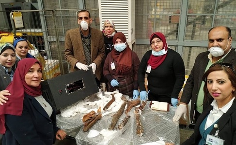 Egipt: Resturile unor mumii, descoperite în bagajele unui pasager pe aeroportul din Cairo