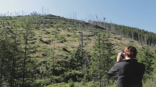 Documentarul „Lemn”, care vorbeşte despre tăierile ilegale de păduri, premiera naţională la TIFF