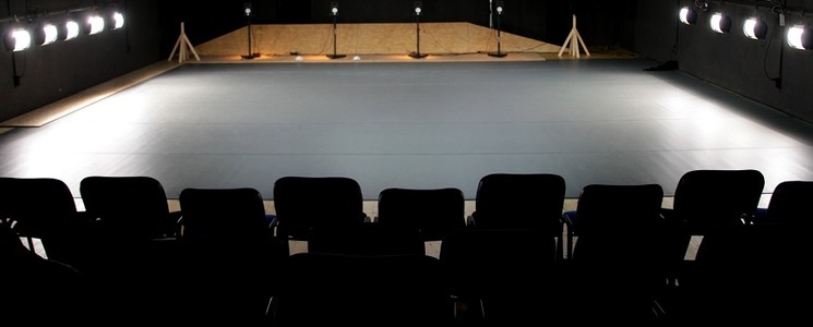 Aproximativ 20 de asociaţii şi instituţii din Bucureşti şi din ţară fac apel pentru salvarea teatrelor independente

