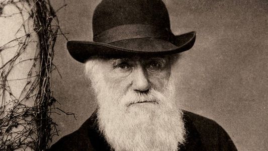 Biblioteca Universităţii Cambridge, apel public pentru găsirea a două caiete ale lui Charles Darwin dispărute de 20 de ani