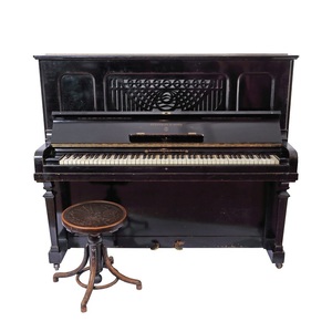 Un pian Steinway & Sons, model Vertegrand din 1922, scos la licitaţie la Bucureşti