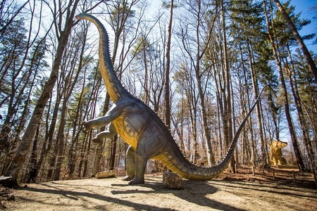 Cel mai înalt dinozaur din sud-estul Europei, expus la Dino Parc Râşnov - FOTO