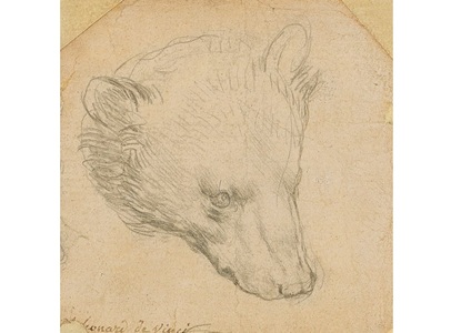 Un desen al lui Leonardo da Vinci care reprezintă un cap de urs ar putea fi vândut pentru 12 milioane de lire sterline
