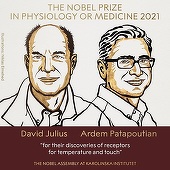 Cercetătorii americani David Julius şi Ardem Patapoutian, laureaţii Premiului Nobel pentru Medicină pe 2021
