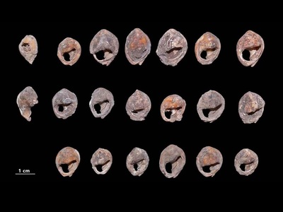 Cea mai veche bijuterie din lume, descoperită de arheologi în Maroc
