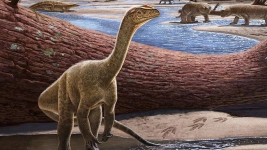 Cel mai vechi dinozaur din Africa, descoperit în Zimbabwe