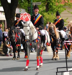 „Tradiţia creşterii cailor de rasă lipiţană din România” a fost inclusă în Lista Reprezentativă a Patrimoniului Cultural Imaterial al Umanităţii a UNESCO