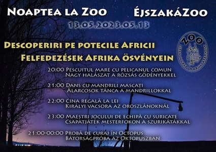 Noaptea la Zoo - Animalele de la Grădina Zoologică din Târgu Mureş, mandrili, suricate, lei, vor fi admirate de vizitatori de la ora 20.00 la 00.00