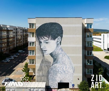 Şase picturi murale, realizate la Bacău de artişti internaţionali, în cadrul festivalului ZIDART. Oraşul ajunge să aibă, astfel, 63 de picturi de mari dimensiuni pe clădiri sau alte obiective - FOTO
