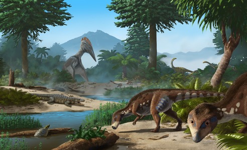 Fosile de dinozauri erbivori au fost descoperite în Bazinul Haţeg