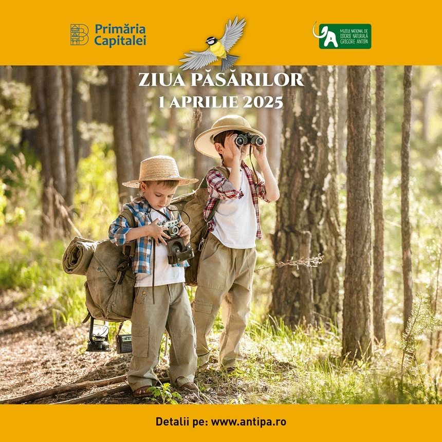 Ziua Internaţională a Păsărilor – Treasure hunt şi intrarea gratuită la Muzeul „Antipa” de 1 aprilie