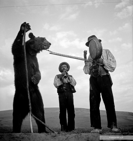 Dancing bear with gypsy trainers, Romania 1938 by Lee Miller (R0285) - © Lee Miller Archives England 2025. All Rights Reserved. www.leemiller.co.uk