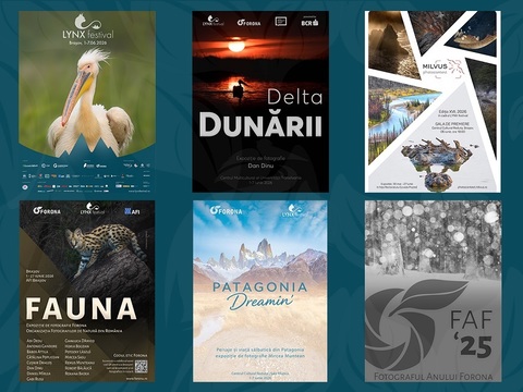 Spectacolul naturii se dezvăluie la Braşov în expoziţiile de fotografie de la LYNX festival