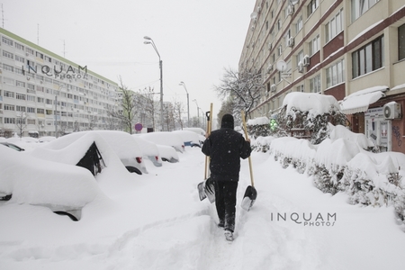 Jucătorii echipelor de baschet, rugby, handbal şi volei ale CSM Bucureşti curăţă zăpada în Capitală. Petrache: Nu ne-a obligat nimeni, am considerat că este normal să facem asta - VIDEO