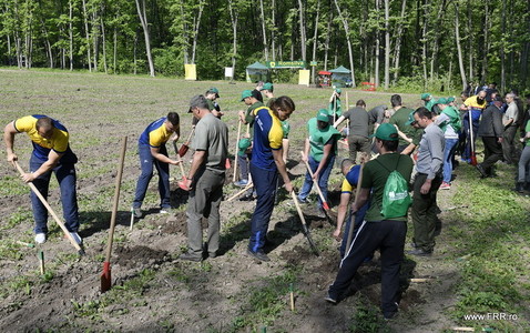 Jucători din naţionala de rugby au plantat stejari în pădurea Pustnicu, la Brăneşti