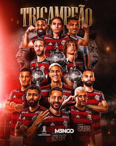 Flamengo a câştigat Copa Libertadores pentru a treia oară în istoria sa