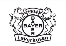 Bayer Leverkusen va pune la dispoziţia suporterilor tatuaje pentru a „imortaliza” un sezon istoric