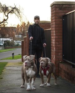 Fotbalistul algerian Saïd Benrahma va fi audiat de justiţia engleză după ce câinii săi au atacat o persoană