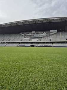 Cluj Arena beneficiază de un gazon nou, hibrid, similar celor de pe marile stadioane ale Europei