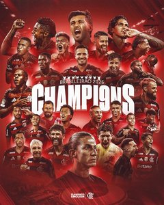 La patru zile după ce a câştigat Copa Libertadores, echipa Flamengo şi-a asigurat titlul de campioană a Braziliei pentru a opta oară