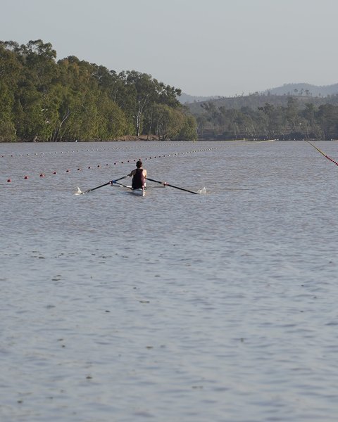 Jocurile Olimpice din 2032: un fluviu plin de crocodili va găzdui probele de canotaj şi caiac-canoe