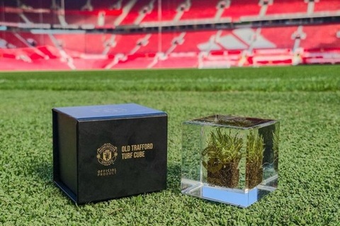 Manchester United vinde bucăţi din gazonul de pe Old Trafford la preţul de 125 de lire sterline
