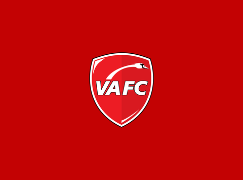 Fotbal: Un antrenor a fost demis după o victorie cu 13-0 a echipei sale