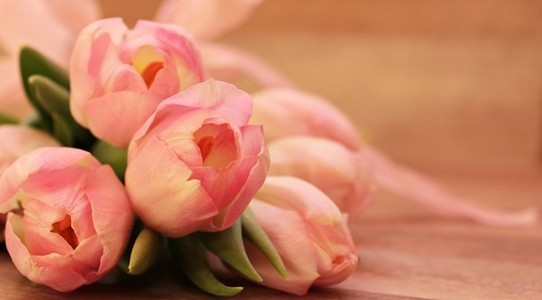 COMUNICAT DE PRESĂ: Vezi aici care sunt top 3 cele mai preferate flori de femei!