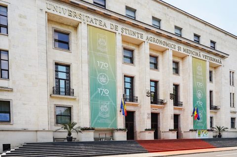 Program universitar de licenţă în sistem dual cu 50% practică şi burse acordate lunar. Înscrieri până pe 23 iulie