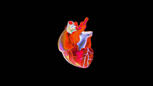 Oamenii de ştiinţă au printat ţesutul cardiac
