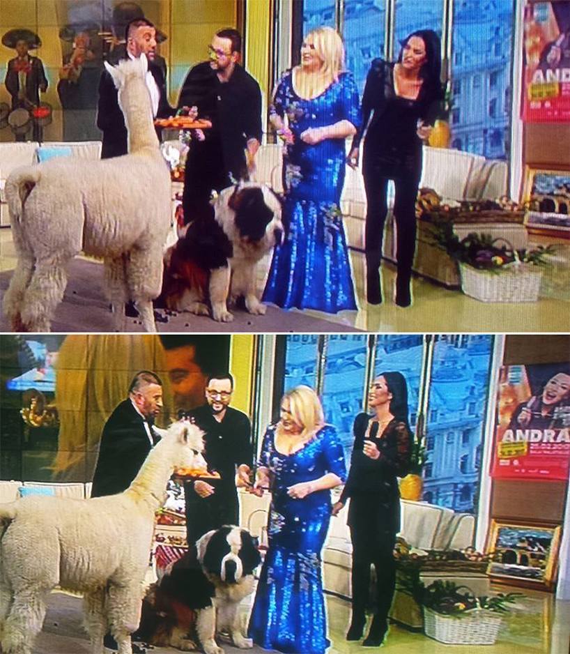 Viorica de la Clejani, apariţie de senzaţie după ce a slăbit