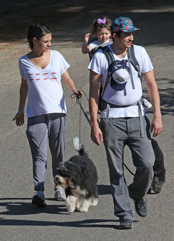 Exclusive... Pregnant Mila Kunis, Ashton Kutcher, & Daughter Wyatt Out Walking Their Dogs