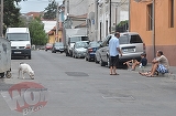 VIDEO! La un an de la moartea lui Ionut Anghel - dovada ca tragedia se poate repeta oricand! Teroare in Bucuresti: pitbull infometat, lasat liber pe o strada unde se joaca un grup de copii!