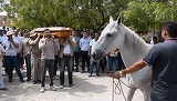 Emotionant! Un cal a fost adus la inmormantarea stapanului sau. E incredibil ce a facut animalul cand au vrut sa bage sicriul in groapa