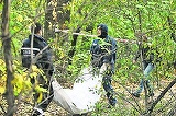 Cadavrul unui barbat din Bistrita, gasit rastignit de un copac