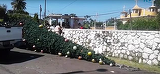 Dramatic! Cinci persoane au murit în timp ce decorau un brad de Crăciun